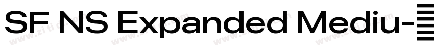 SF NS Expanded Mediu字体转换 SF NS Expanded Mediu字体转换